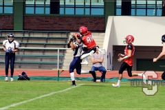 32898046867_db0d74cce6_k